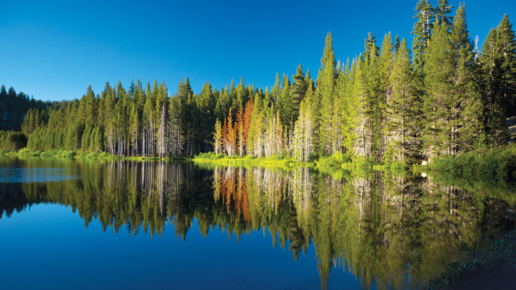 hobart creek reservoir in nevada