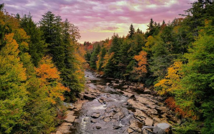 Blackwater Falls State Park, fall