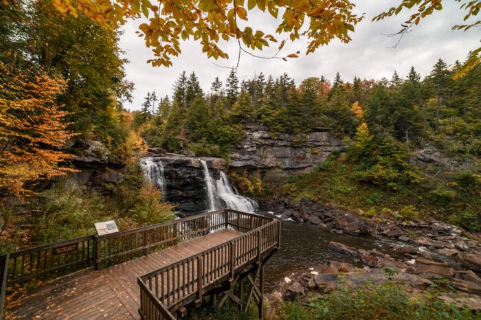 Blackwater Falls, fall