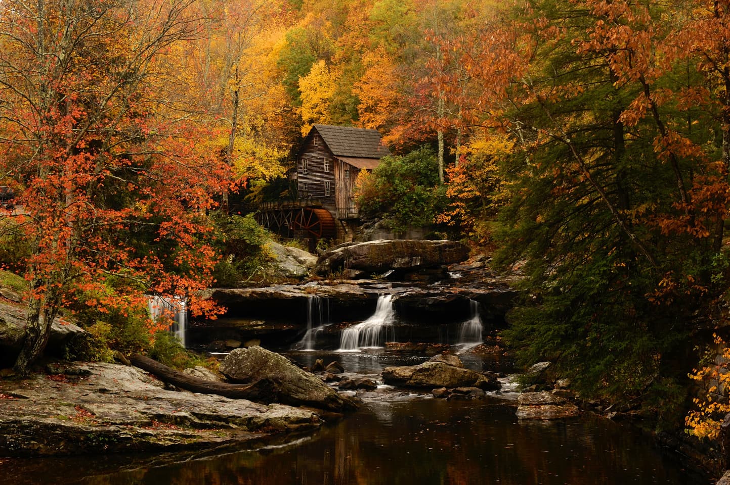 babcock state park, fall