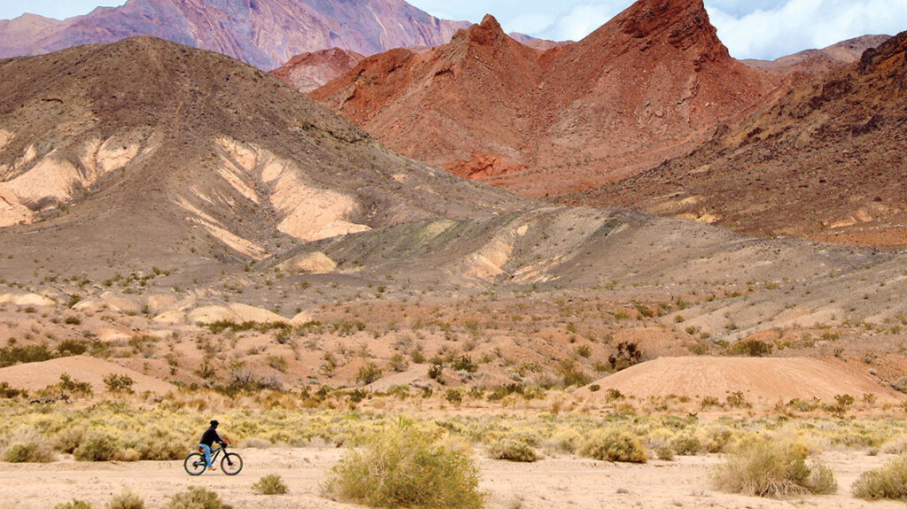 biking at clark county wetlands park in las vegas