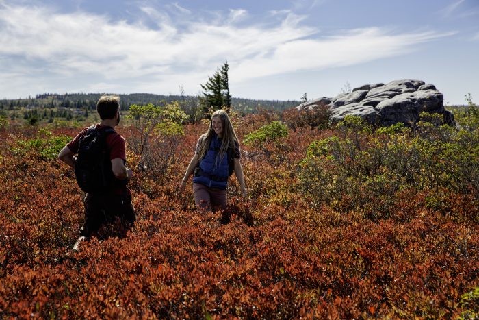 Dolly Sods, Fall