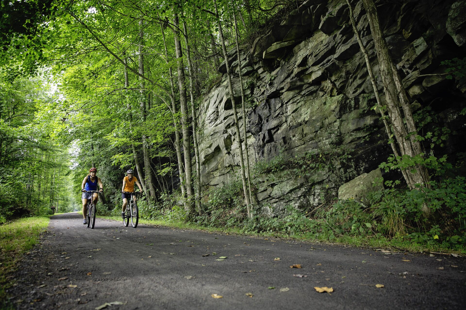 Greenbrier River Trail, mountain bikers