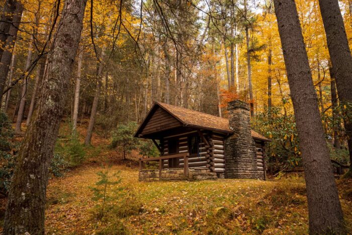 Watoga State Park, fall, cabin