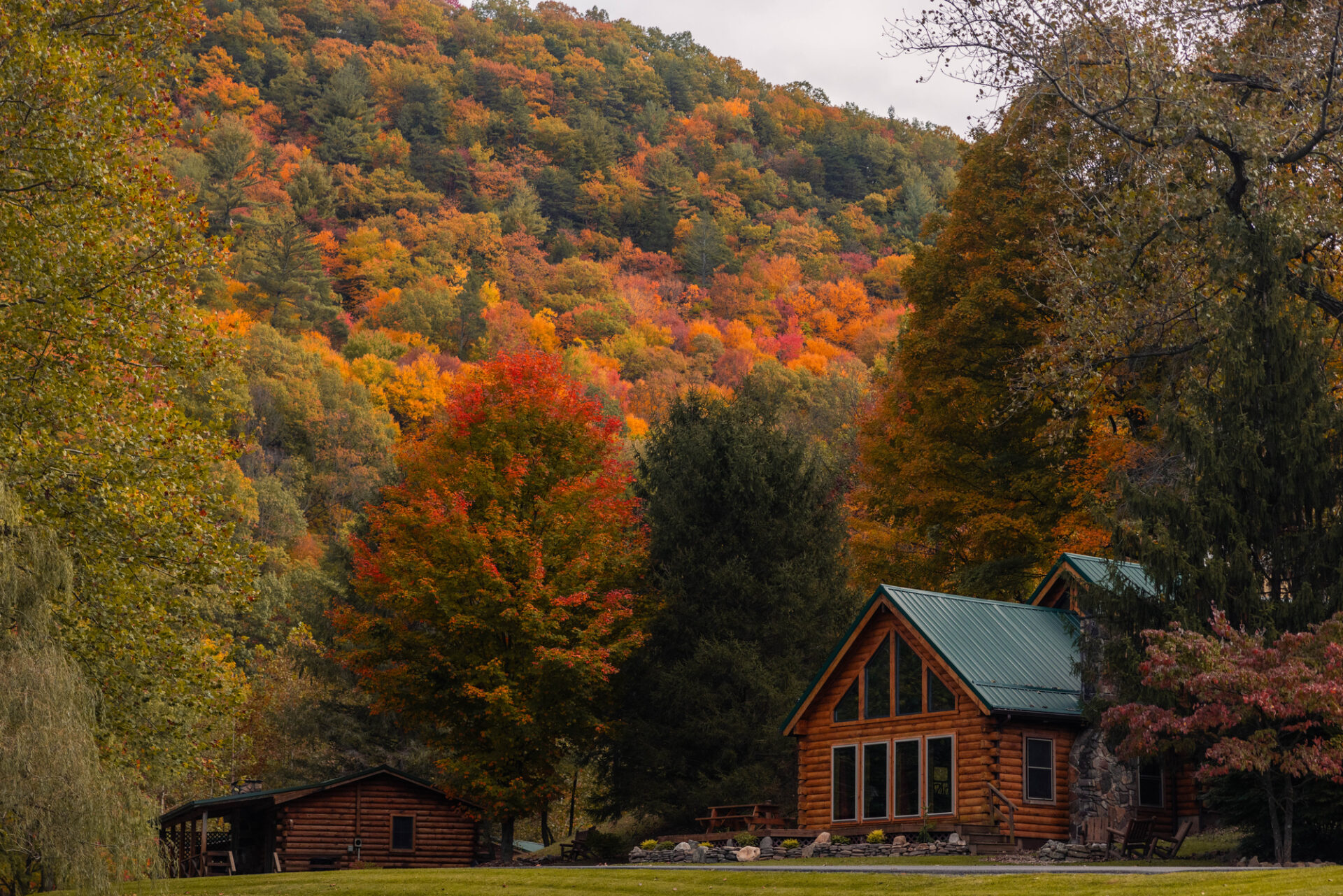 Harman's Luxury Log Cabins