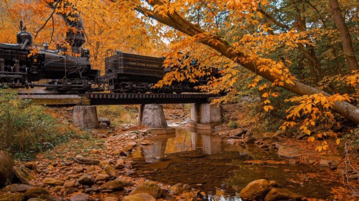 Cass scenic railroad state park, fall