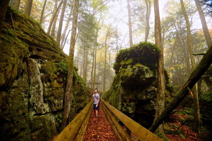 Beartown State Park, Fall