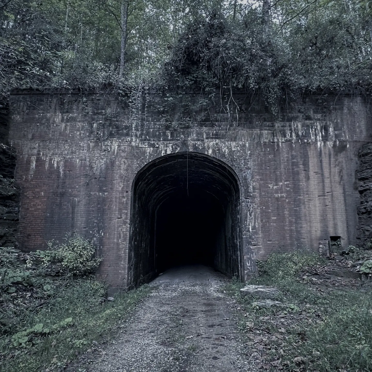 Silver Run Tunnel