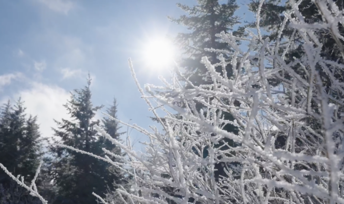 Spruce Knob, Winter