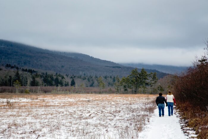 Cranberry Glades, winter