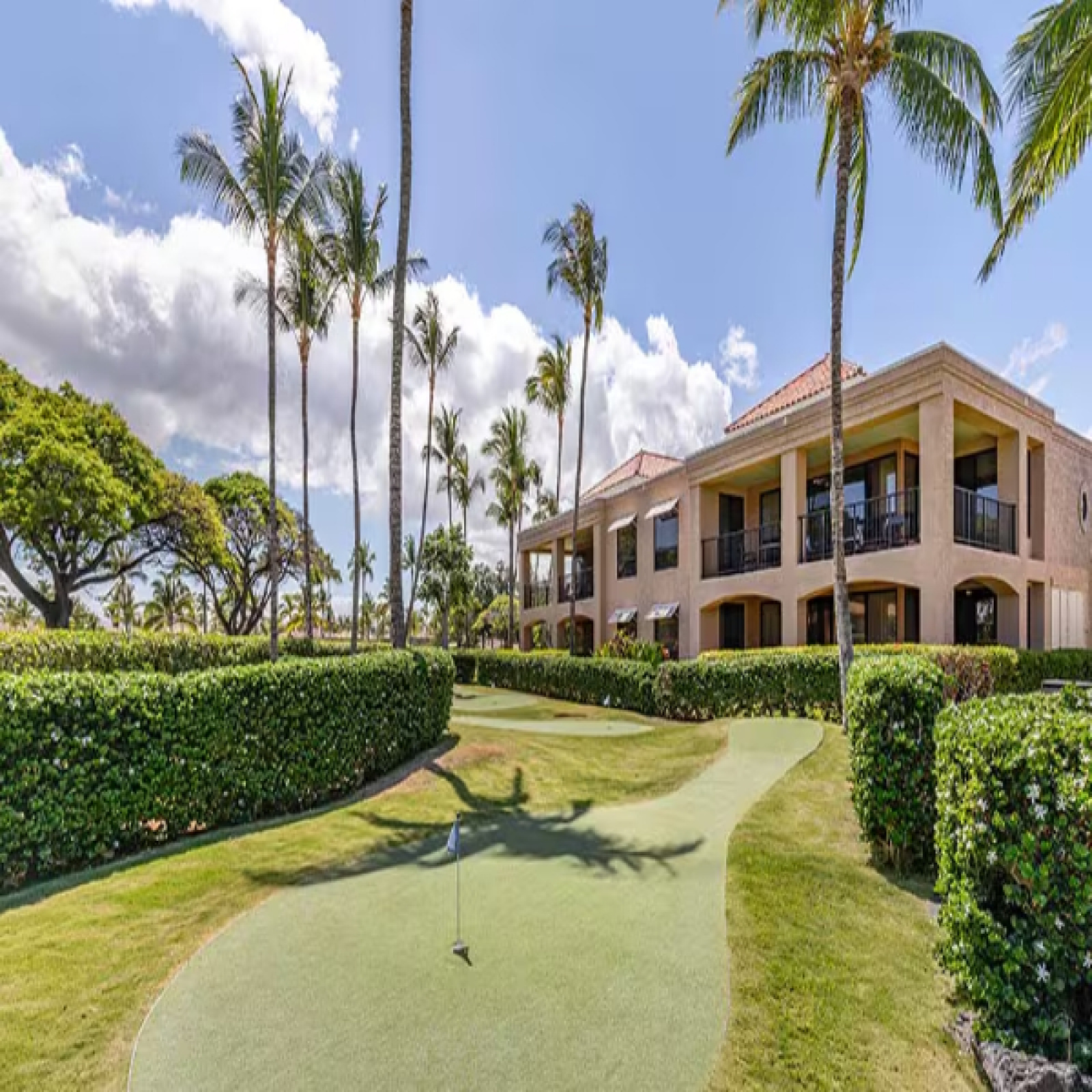 69-450 Waikōloa Beach Dr, Waikoloa, Hawaii, 1 Bedroom Bedrooms, ,Resorts (Free),For Sale,Waikōloa Beach,1392