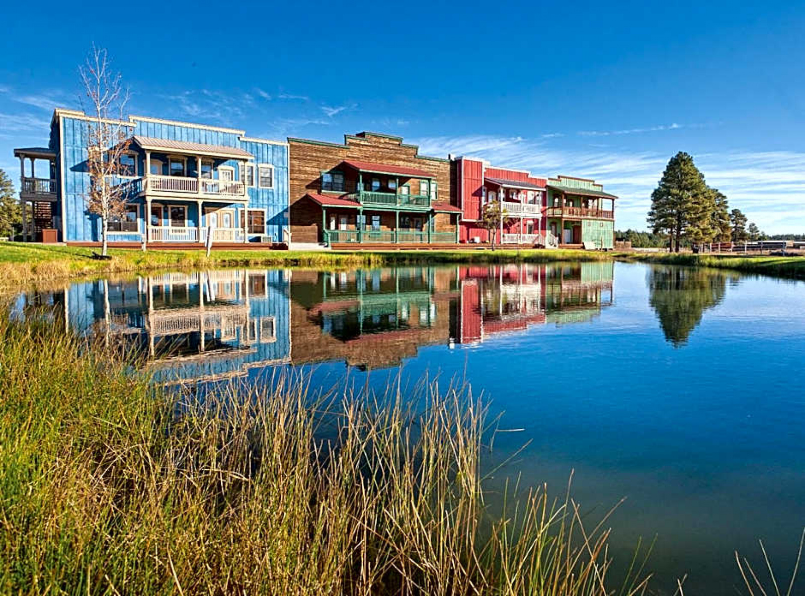 2361 Bison Ranch Trail Road, Overgaard, Arizona, ,Resorts (Free),For Sale,Bison Ranch Trail,1568
